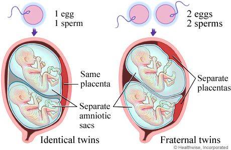 Fig.02